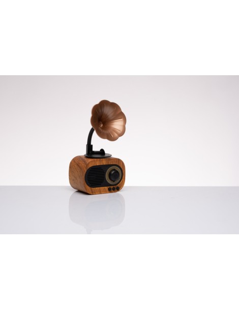 Radio speaker grammofono bluetooth: articolo da regalo testimoni nozze