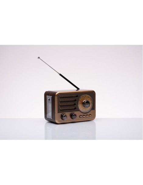 Radio cassa bluetooth: articolo da regalo originale per testimoni matrimonio